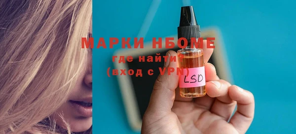 индика Зерноград