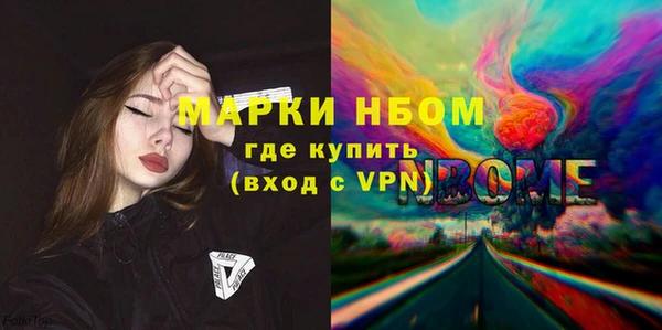 индика Зерноград