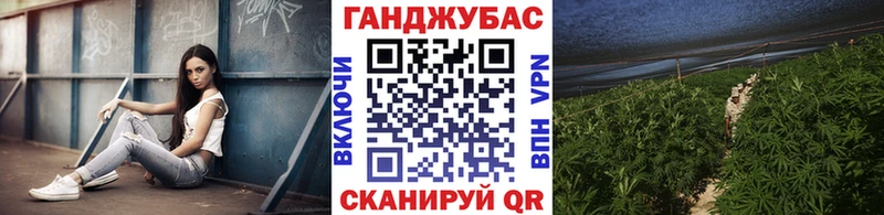 Купить закладки Печоры Марихуана сатива